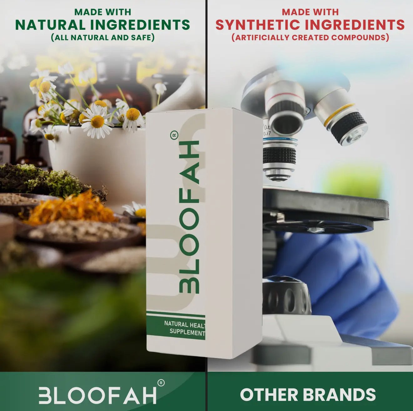 Bloofah Garlic Extract Capsules – 500mg Herbal Defense (60/120/180 Count) - Beyond The Veils