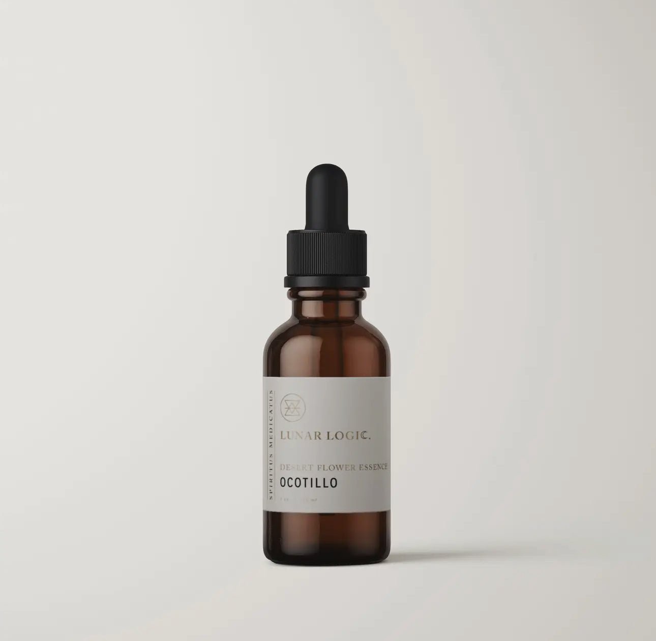 Ocotillo Flower Essence | Energetic Healing for Emotional Support - Beyond The Veils