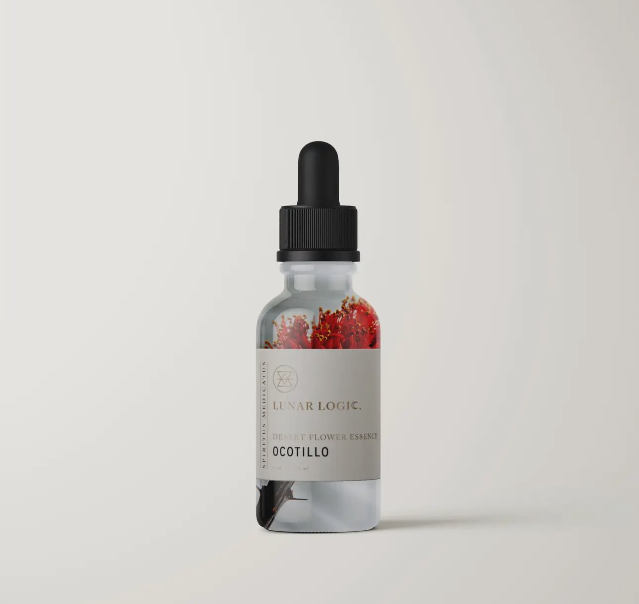 Ocotillo Flower Essence | Energetic Healing for Emotional Support - Beyond The Veils