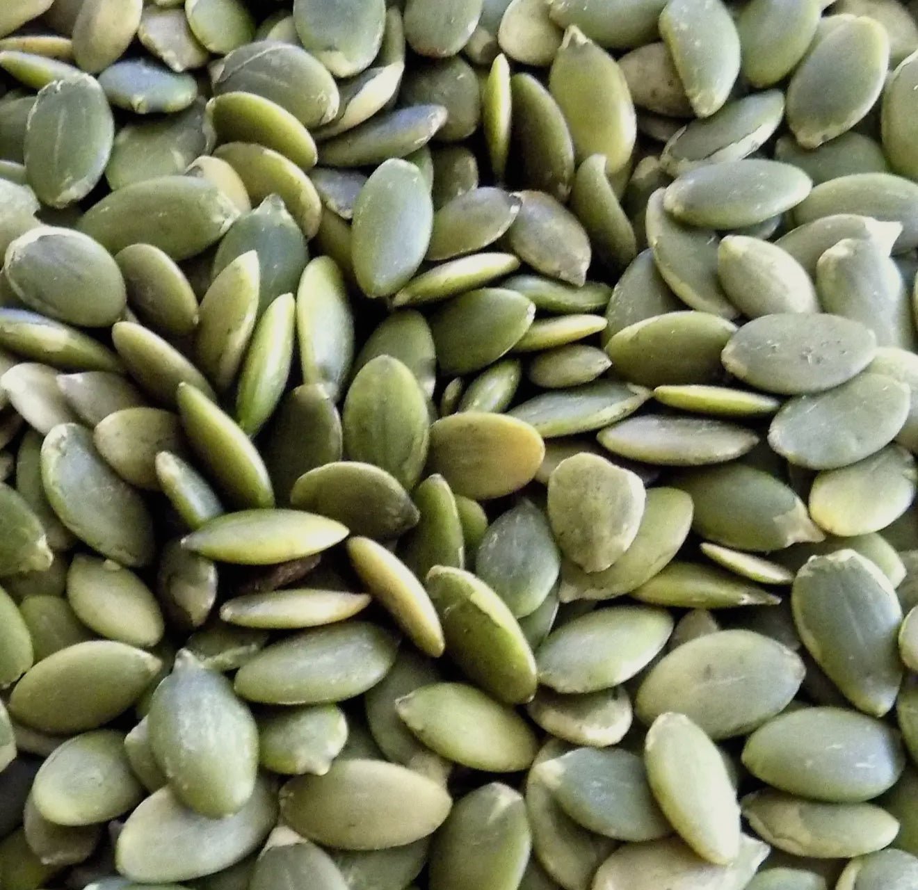 Pumpkin Seeds – Raw Organic Life Seeds (5 lb / 50 lb Bulk) - Beyond The Veils
