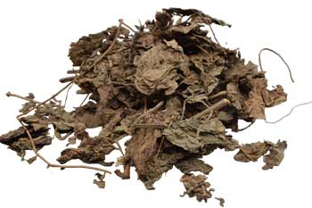 Patchouli Leaf Whole 1oz - Beyond The Veils