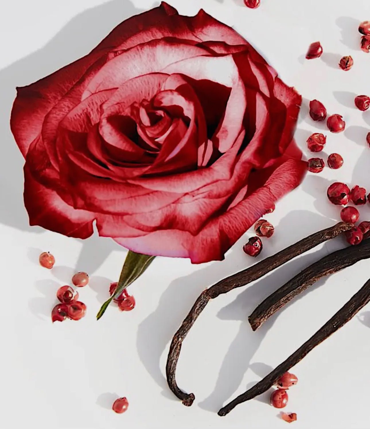 Rose Love Bath & Body Oil – Organic, Heart - Opening Luxury - Beyond The Veils