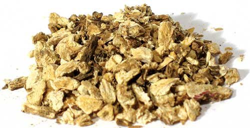 Angelica Root cut 1oz (Angelica archangelica) - Beyond The Veils