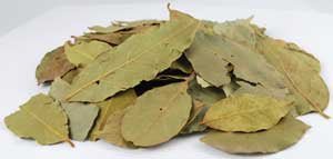 Bay Leaves whole 1oz (Laurus Nobilis) - Beyond The Veils