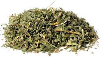Catnip cut 1oz (Nepeta cataria) - Beyond The Veils