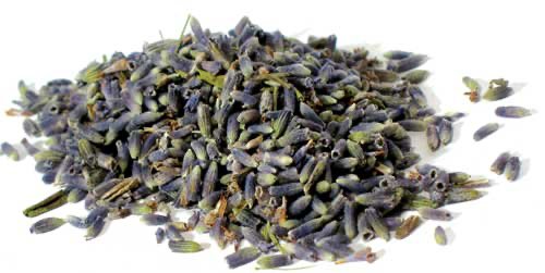 Lavender Flowers whole 1oz, 2oz, 1lbs (Lavandula angustifolia) - Beyond The Veils