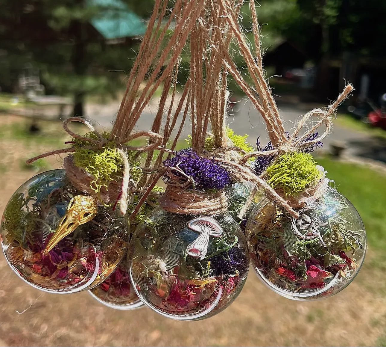 Witch Balls - Beyond The Veils